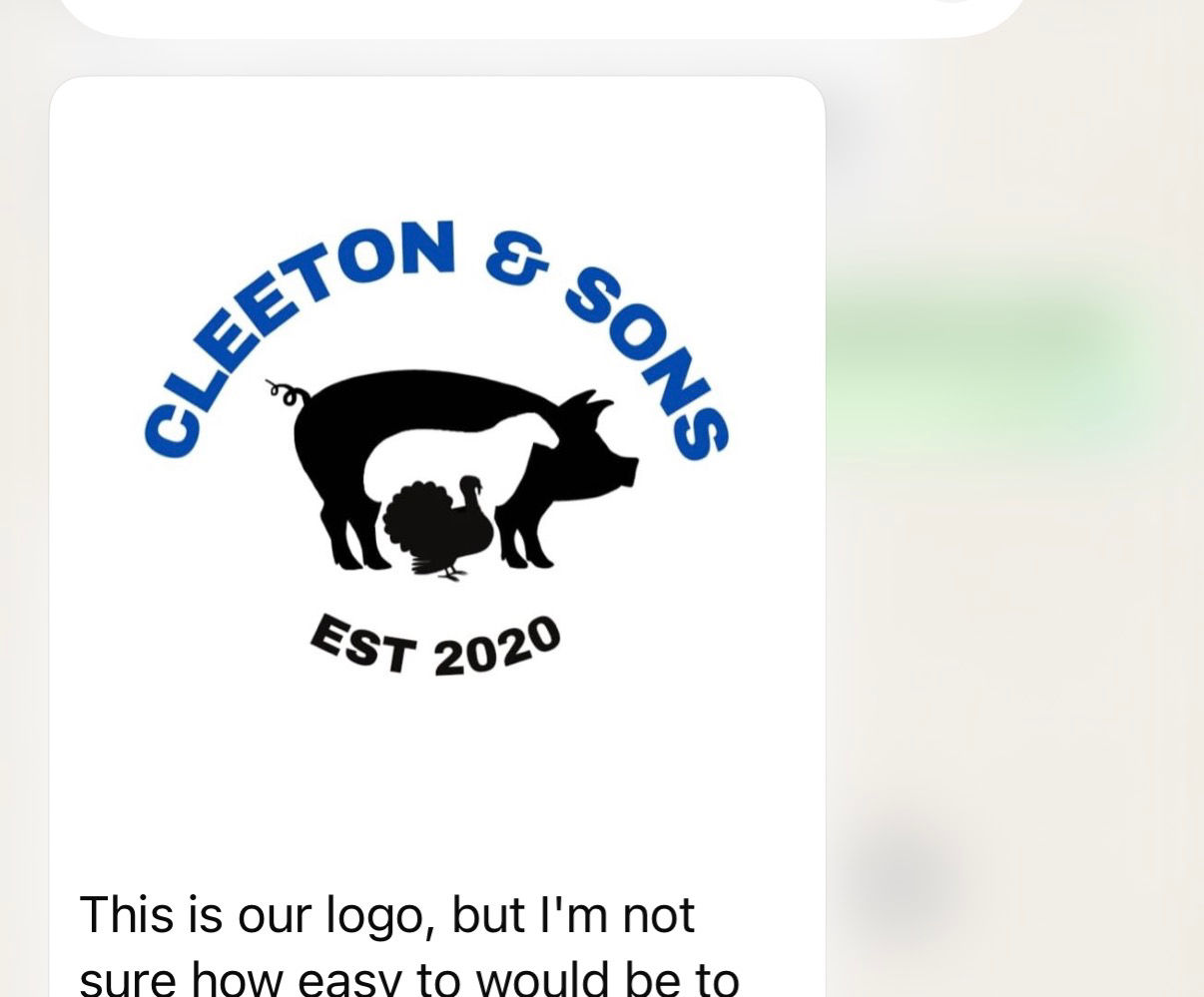 Tow guard and light bracket 