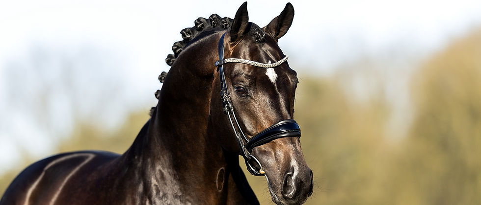 Frankie Lee2_edited.jpg