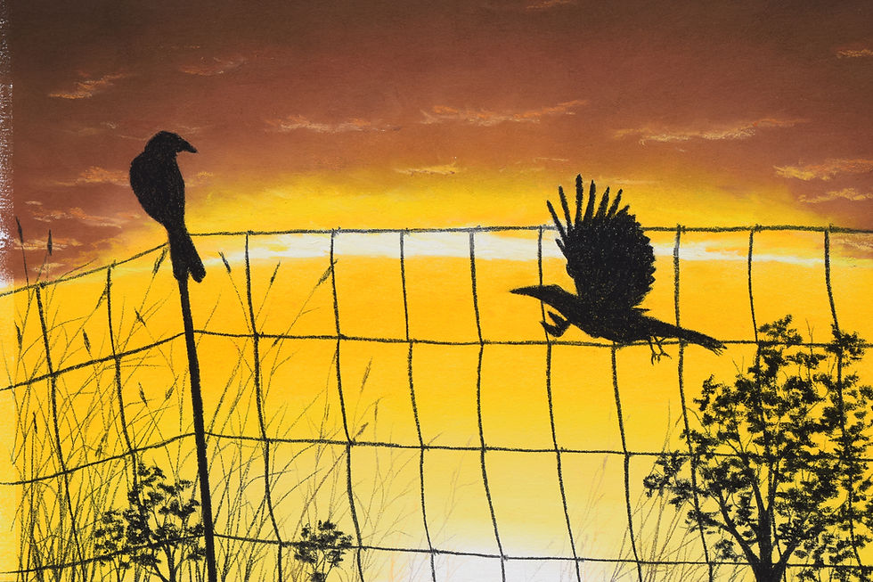 Thumbnail: Sunset Songs