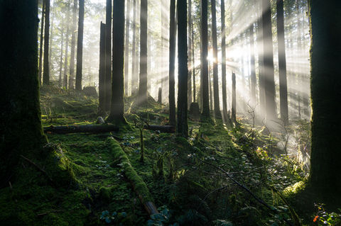Fall and winter 2026 landscape photography collection — recent fine art prints from British Columbia's mountains and forests
