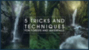 FOREST EDITING COURSE