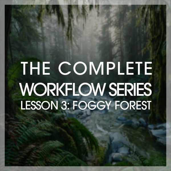 Tutorial: THE COMPLETE WORKFLOW SERIES LESSON 3: FOGGY FOREST