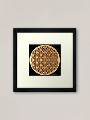 framed-print-flower-of-life.jpg