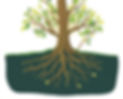 roots spreding nature_edited.jpg