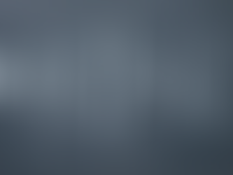 DEFINITIONS OF 51% BLACK OWNED AND 51% BLACK WOMEN OWNED