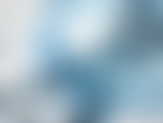 CAN A MEASURED ENTITY RECEIVE POINTS FOR AN INITIATIVE WITH NO EVIDENCE?