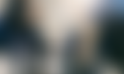 SKILLS INTERVENTIONS FOR PERSONS WITH DISABILITIES