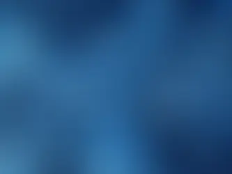 ENTERPRISE DEVELOPMENT ELEVATION TO SUPPLIER DEVELOPMENT IS ENCOURAGED, NOT MANDATORY