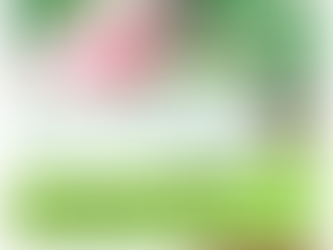 つくば市大人気カフェジャーナルヨガレッスン10月