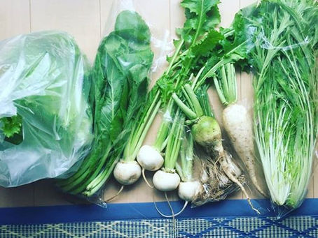 飯野農園さんのお野菜