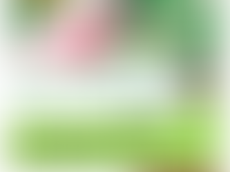 つくば市大人気ジャーナルカフェヨガレッスン1月