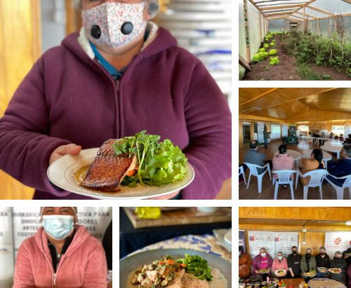 Resumen de Fotos 2022 Proyecto FIC