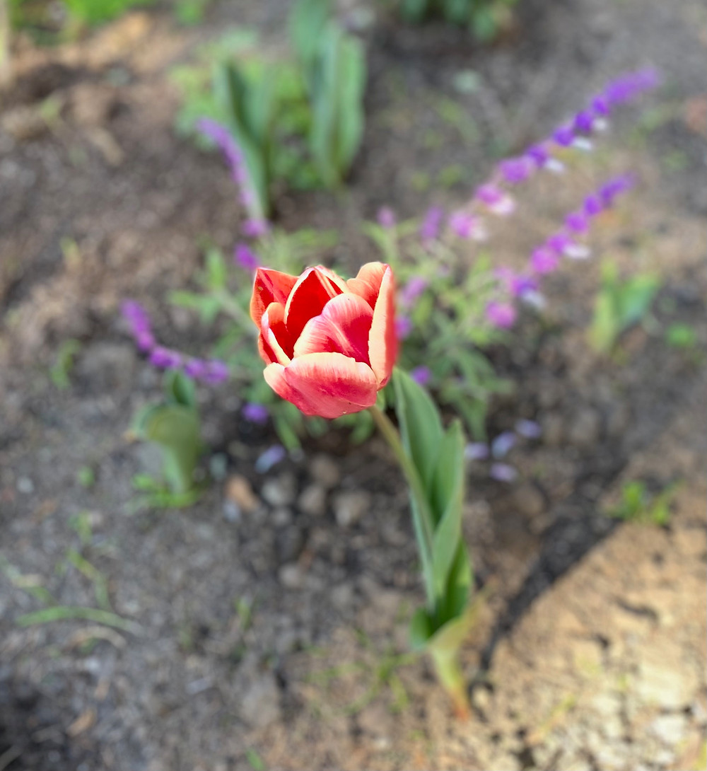 Yoga for Gardening