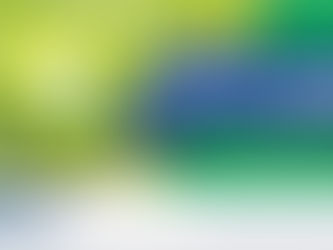 SABO participates at the ExpoResiduos 2020