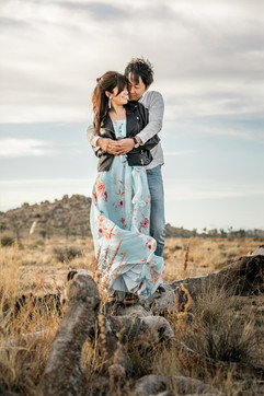 Noemys_ArtisticEye_JoshuaTree_NationalPa