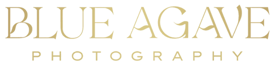 BA Logo Adjusted.png