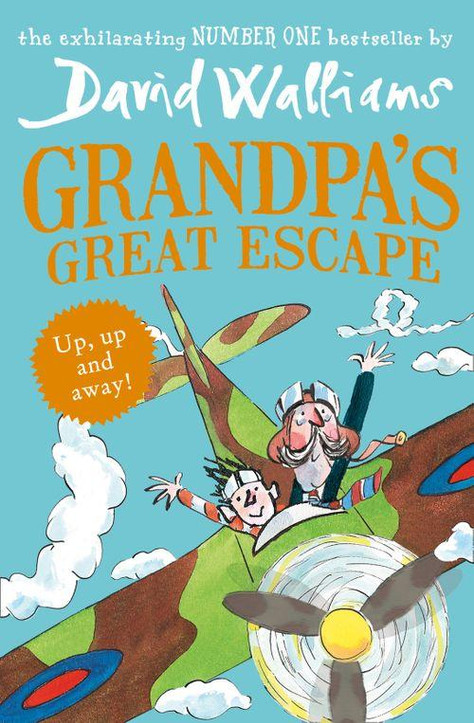 BookMatch: David Walliams | Books for Fans of David Walliams | The ...