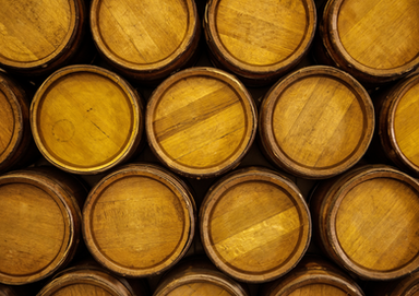 The Gunpowder Plot