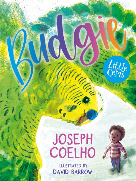 Budgie.jpeg