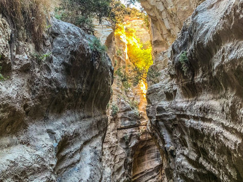 Avakas Gorge