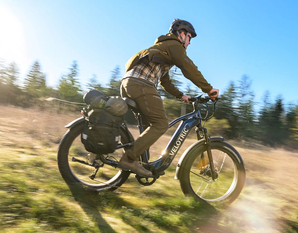 Thumbnail:  Velotric Nomad 2
