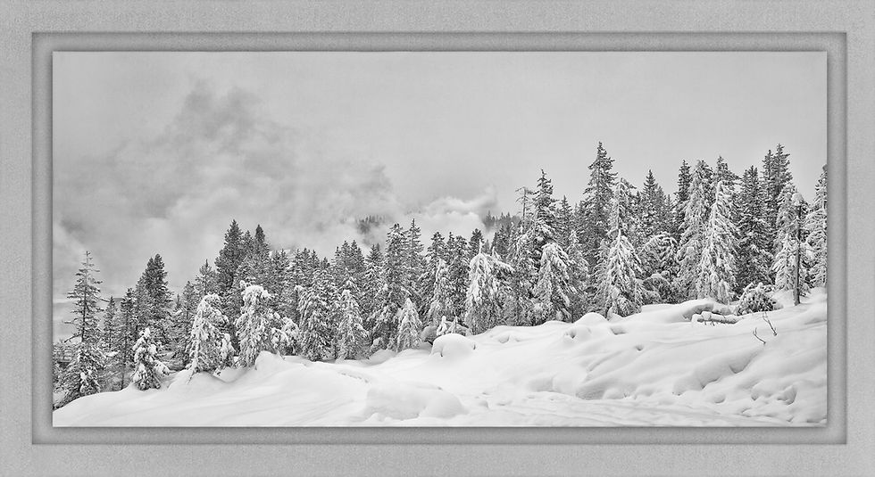 Frosted Yellowstone Landscape