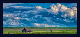 After the Storm