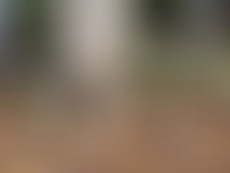 Spiritual Grounding or Earthing