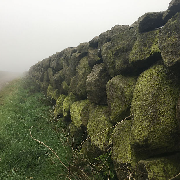 emerald green moss covered rock wall in ireland in the fog