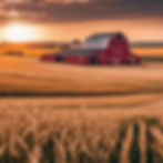 farm with a red barn in the background and a wheat field in front at sunset.jpg