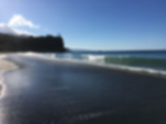 IMG_8151.jpeg