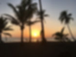 IMG_7940.jpeg