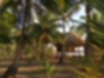 IMG_8054.jpeg