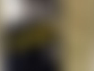 Se develó una placa en honor a Manuel Esperón para nombrar una habitación del hotel Xcaret Arté