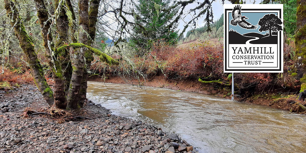 Walk & Talk Series: Building a Wetland & Healthy Streams