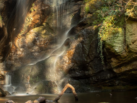 Discover our Land photography competition moves to Kielder