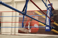 The boxing ring