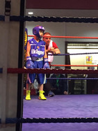 Boxer in the corner