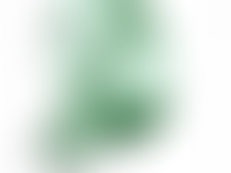 13.1.3 안전모니터봉사단 인원 및 신고 현황