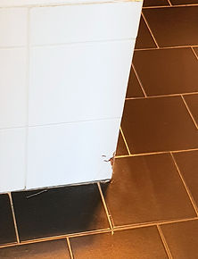 20190718_145659_edited.jpg