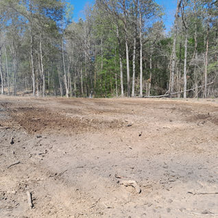 freshly cleared land