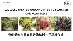 WE WERE CREATED AND ANOINTED TO FLOURISH LIKE PALM TREES [8 MAY 2022]