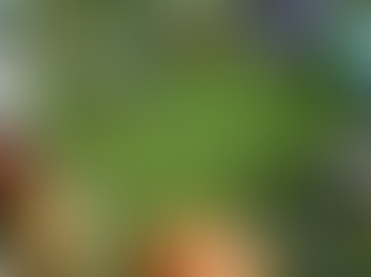 Sports gear on the ground.