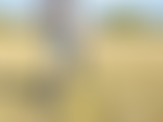 A youth athlete running a speed ladder drill. 