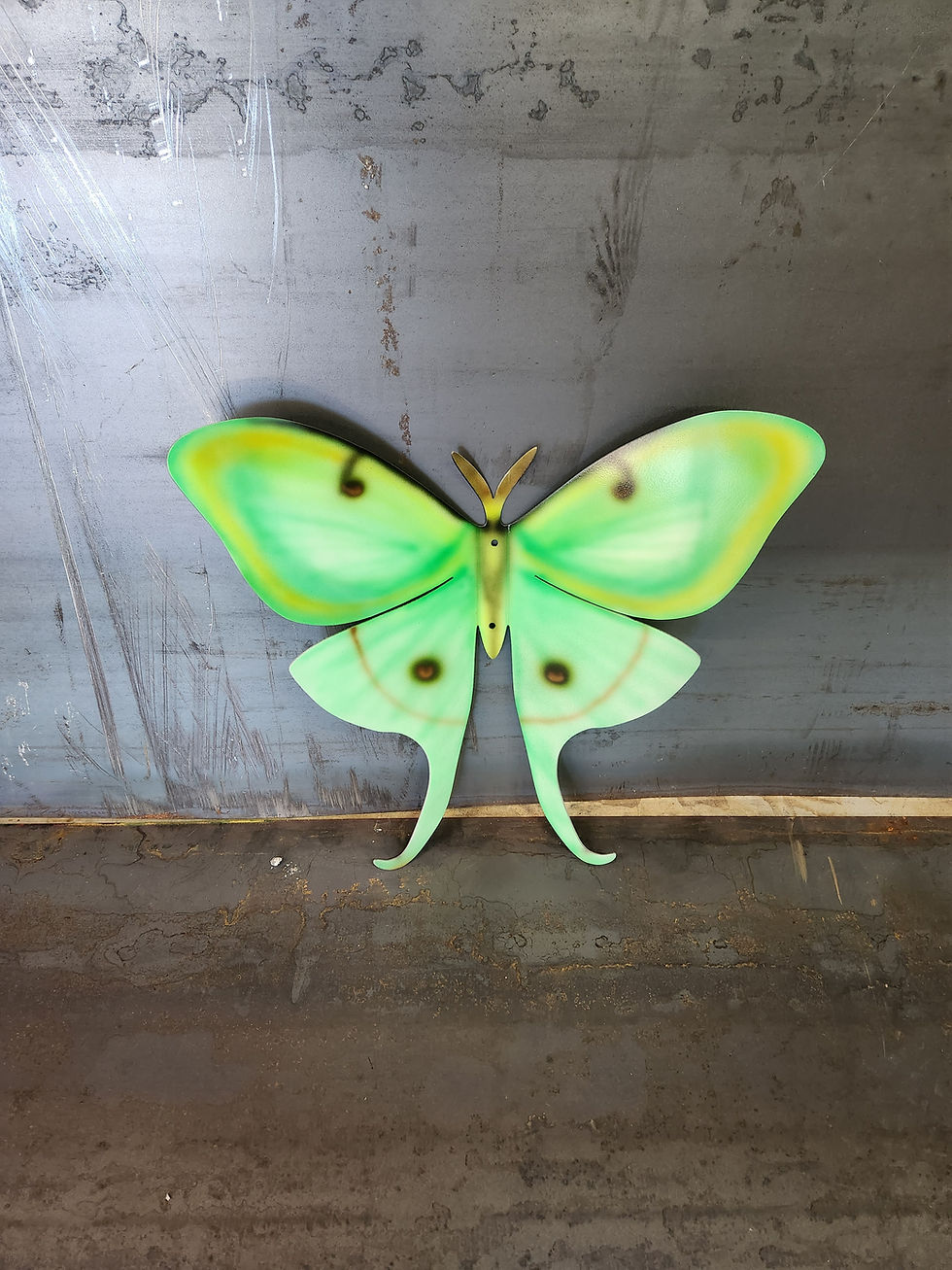 Thumbnail: Moth - butterfly  Metal Wall Art Wall Decor