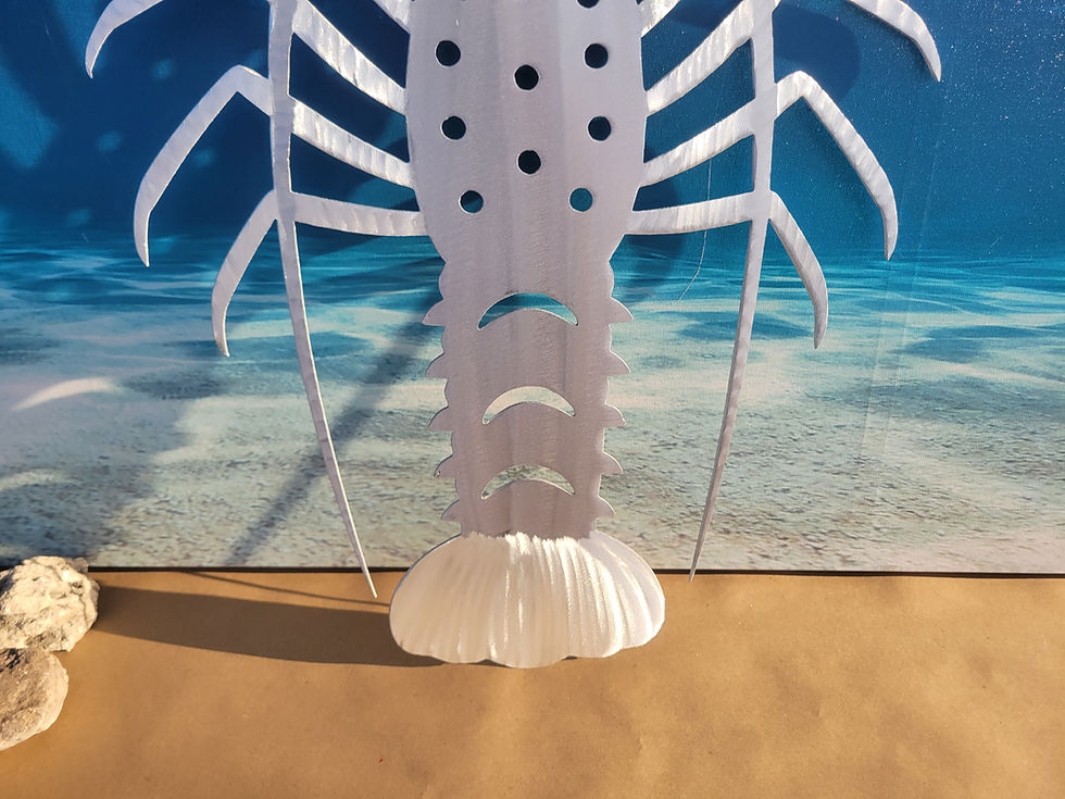 Thumbnail: Florida Lobster Polished