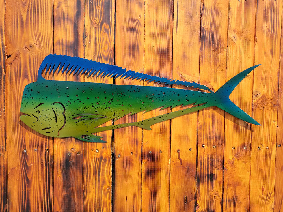 Thumbnail: Mahi mahi Dolphin dorado Long