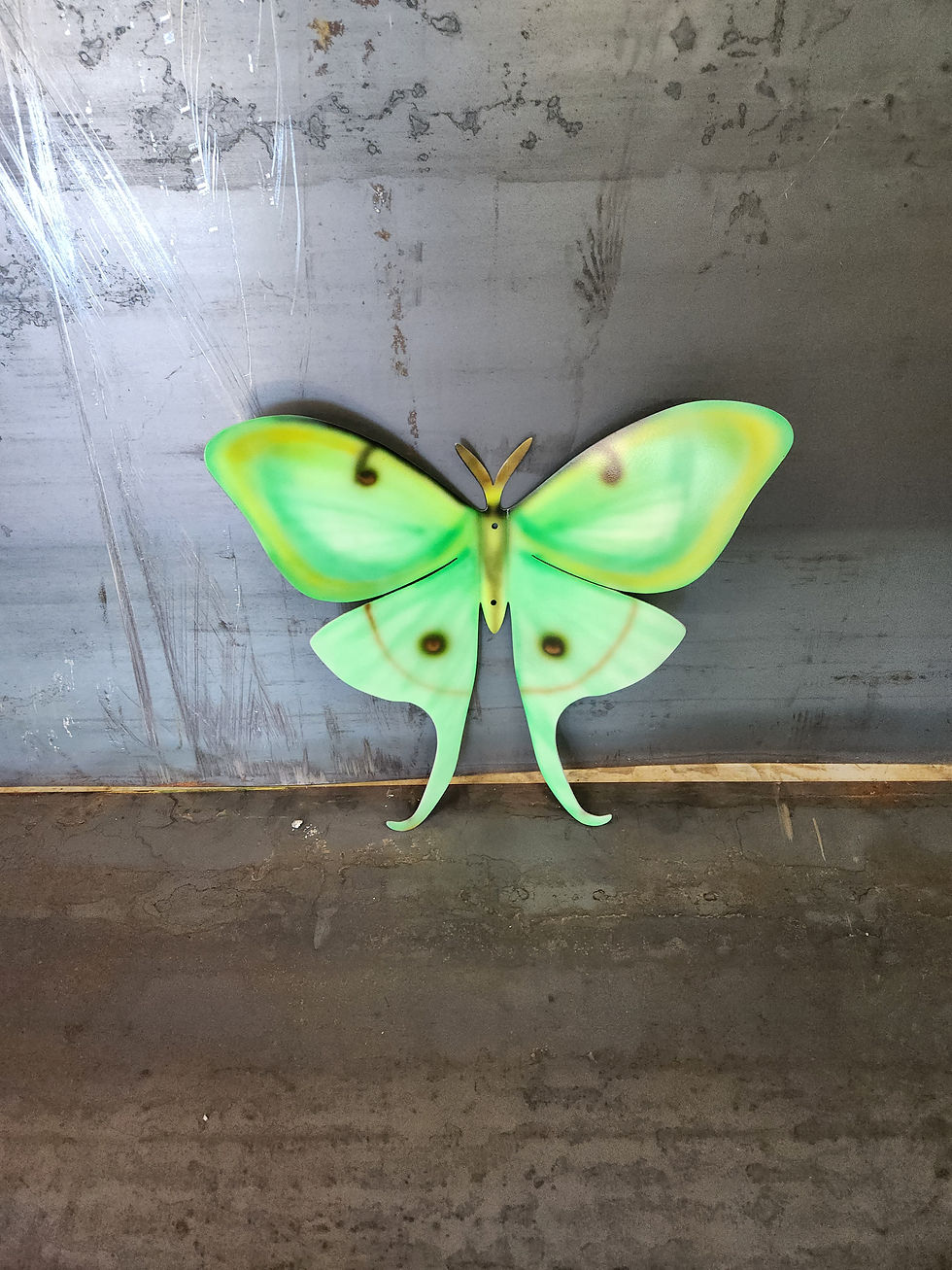 Thumbnail: Moth - butterfly  Metal Wall Art Wall Decor