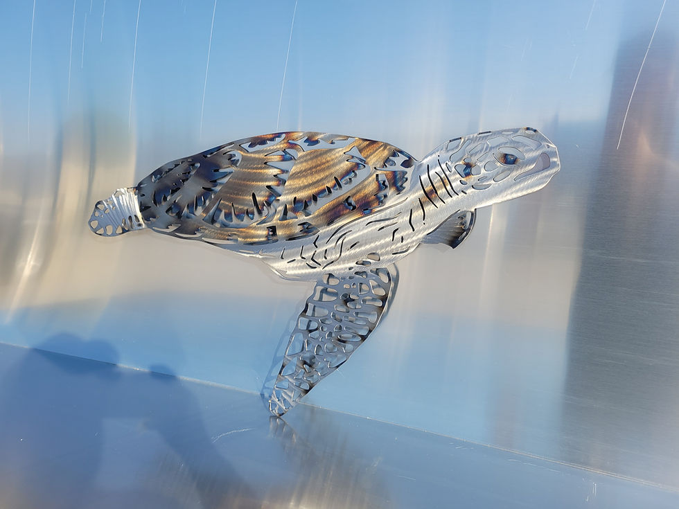 Thumbnail: Sea Turtle Heat Treated