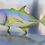 Thumbnail: Jack cavell giant travelle blue travelle fish metal wall art